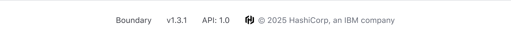 Example of the App Footer with plain text list items